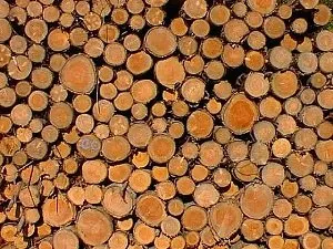 Les matériaux de fondation et de structure d'une pergola