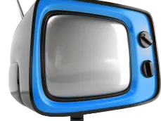 Naissance du site