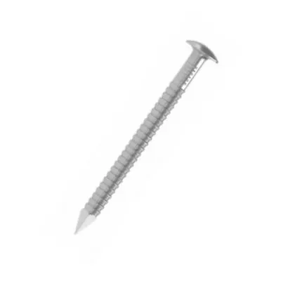 Pointe annelée tête bombée - Inox A4 D=1.9mm, L=20mm, BTE1000 - ARA41.9X20 - Réf. 74219